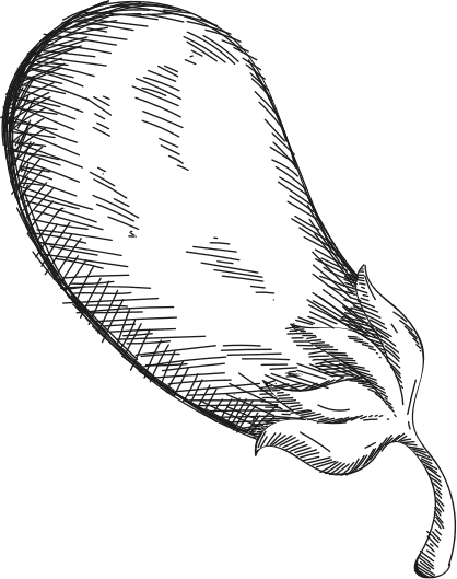 restaurant italien à Namur Cuisine italienne pizza au feu de bois à Namur